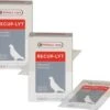 Versele-Laga Oropharma Recup-Lyt Electrolyten - Duivensupplement - 2 X 240 G -VERSELE-LAGA 1200x983