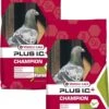 Versele-Laga I.C.+ Champion Plus Ic-Sport - Duivenvoer - 2 X 20 Kg -VERSELE-LAGA 904x1200 4