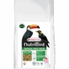 Versele-Laga Nutribird Tropical Fruit Patee 1 Kg 2 Versele-Laga Nutribird Tropical Fruit Patee 1 Kg -VERSELE-LAGA Versele20Laga2FVersele Laga20Nutribird20Tropical20Fruit20Patee20120kg