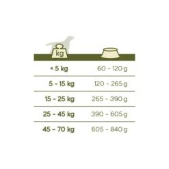 VERSELE-LAGA Hondenvoer Happy Life ADULT Kip - 15 Kg 7 VERSELE-LAGA Hondenvoer Happy Life ADULT Kip - 15 Kg -VERSELE-LAGA happy life adult chicken 15kg 1626356073 2 600