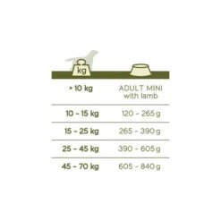 VERSELE-LAGA Hondenvoer Happy Life ADULT Lam - 15 Kg 7 VERSELE-LAGA Hondenvoer Happy Life ADULT Lam - 15 Kg -VERSELE-LAGA happy life adult lamb 15kg 1626351685 2 600