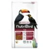 Versele-Laga Nutribird T16 Toekan Onderhoudsvoer - Vogelvoer - 2 Kg -VERSELE-LAGA versele laga versele laga nutribird t16 toekan ond