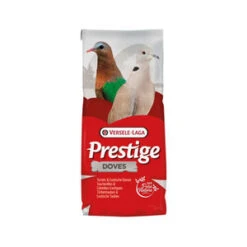 Versele-Laga Prestige Tortelduif 20 Kg -VERSELE-LAGA versele laga prestige tortelduif 20 kg 73684 0300 none